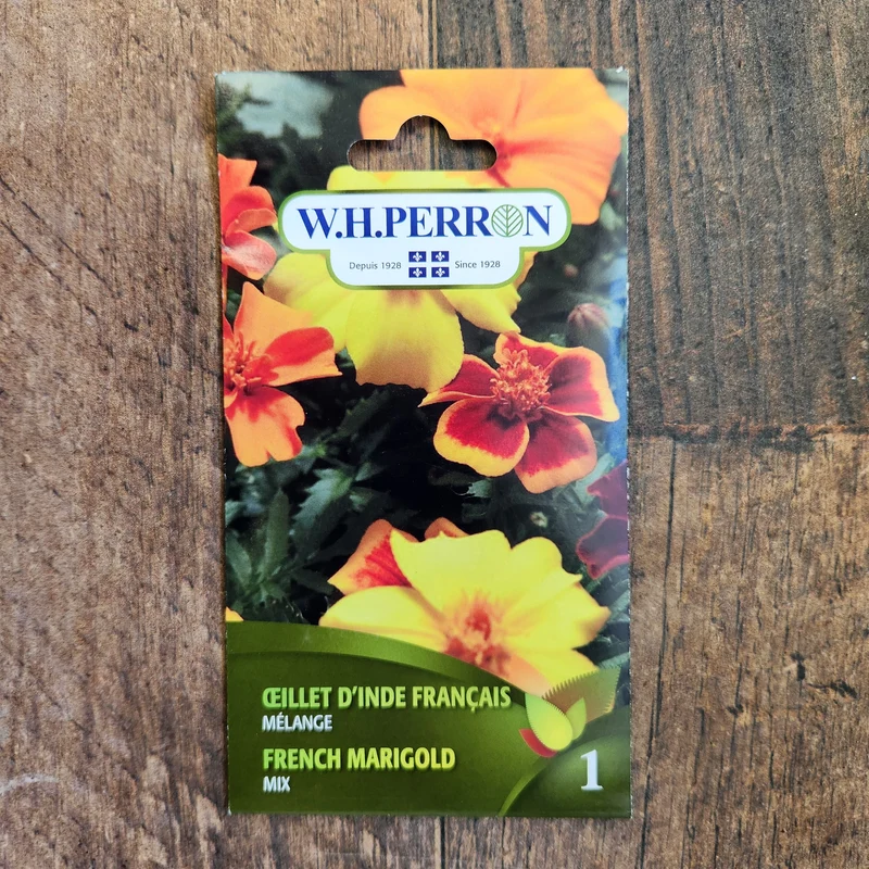 Mélange d'Oeillet d'Inde Français ( Tagetes patula )
