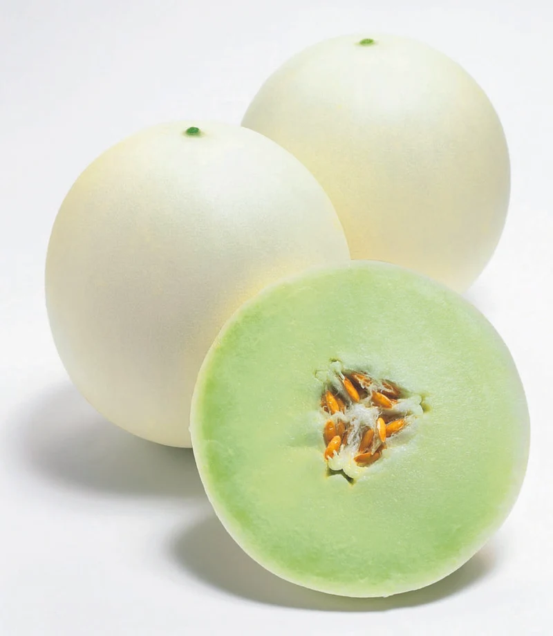 Melon miel ( Cucumis melo ‘Honeycomb’)