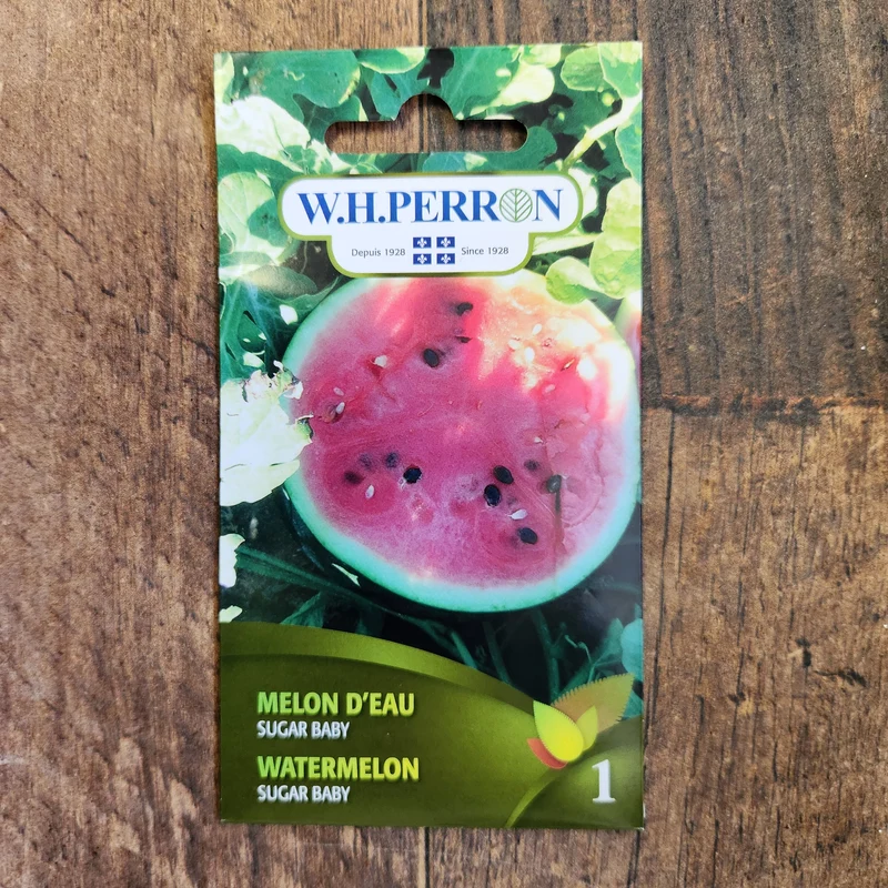 Melon d'eau ( Citrullus lanatus ‘Sugar Baby’)