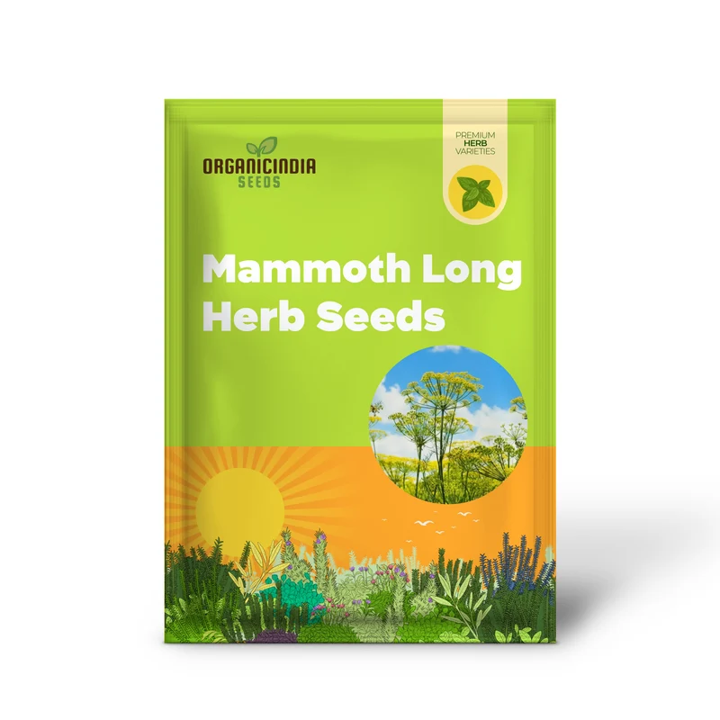 Mammoth Long Island Dill Seeds – Non-GMO Heirloom Herb for Gardening & Microgreens