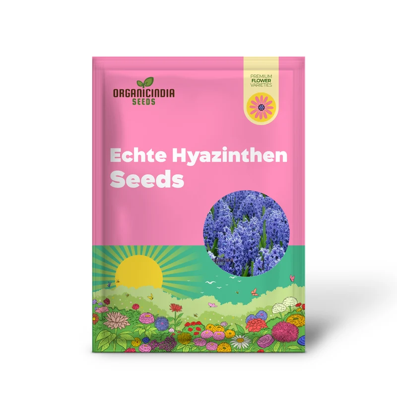 Blue Echte Hyazinthen Plant Seeds, Fragrant Flower Seeds for Planting - Transform Your Garden with Stunning Blue Blooms - Ideal for Gardening Enthusiasts