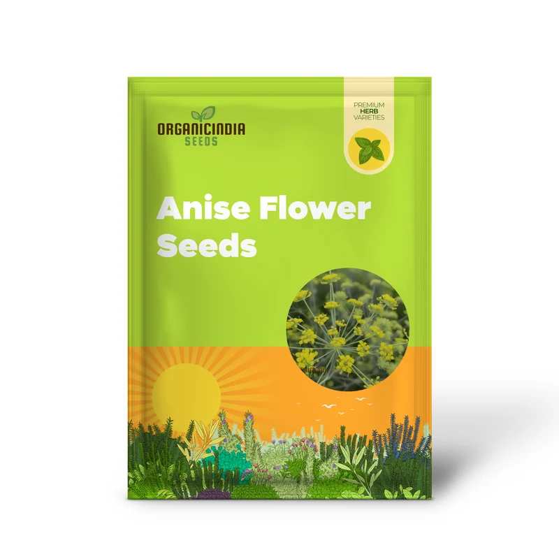 Anise Flower Seeds – Organic, Fragrant Blooms for Garden & Home Landscaping