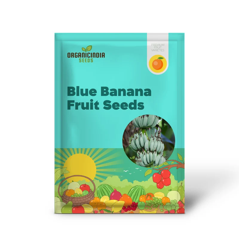 Blue Java Banana Seeds for Planting, Enhance Your Gardening with Exotic Banana Fruit Seeds