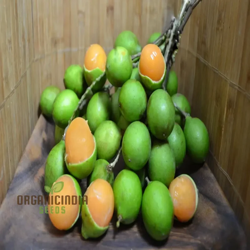 Mamoncillo Seeds for Planting, Grow Your Own Mamoncillo Plant with Fruit Seeds for Your Garden