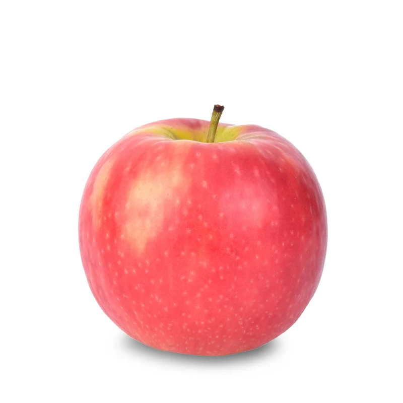 Pink Apple Tree Seeds, A Planting Guide for Your Dream Orchard, Fruit Seeds For Planting