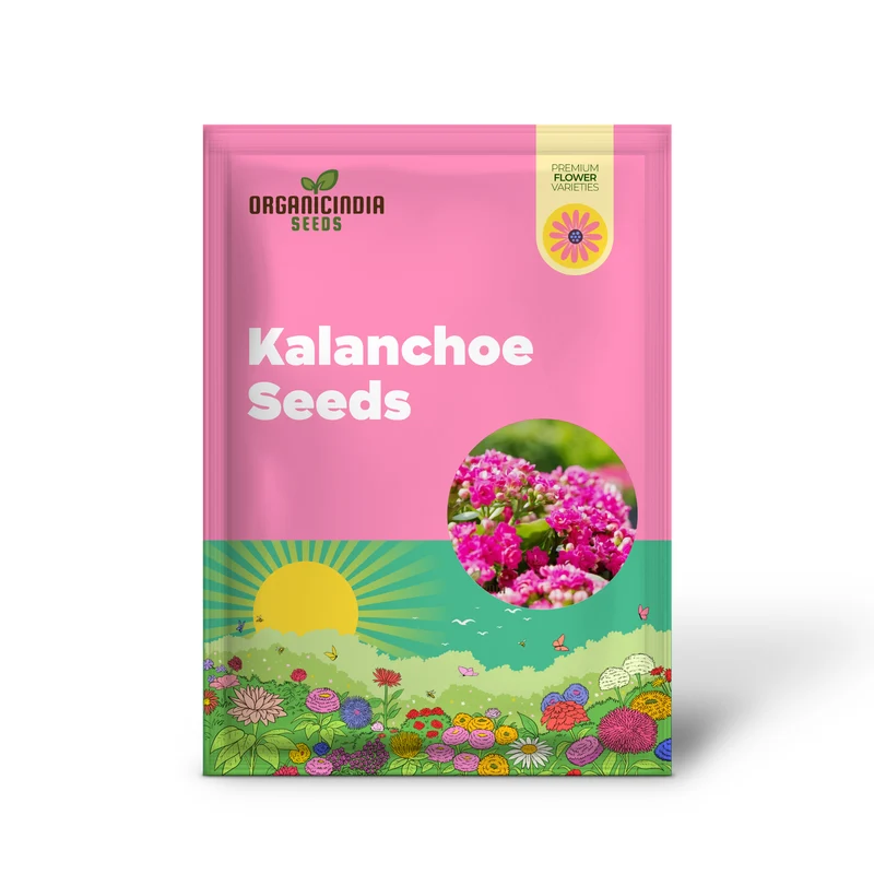 Premium Pink Kalanchoe Seeds – Beautiful Blossoms for Pots, Garden Borders, Indoor Displays & Decorative Landscaping