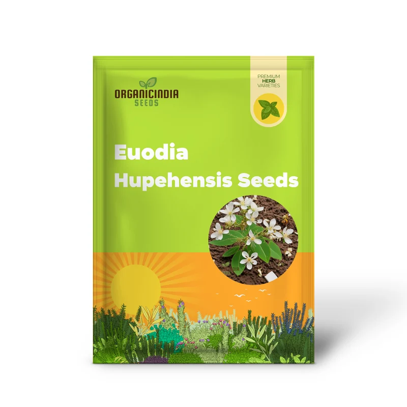 Bee-Beloved Euodia Hupehensis Seeds – Premium Seeds for Planting, Pollinator-Friendly Tree