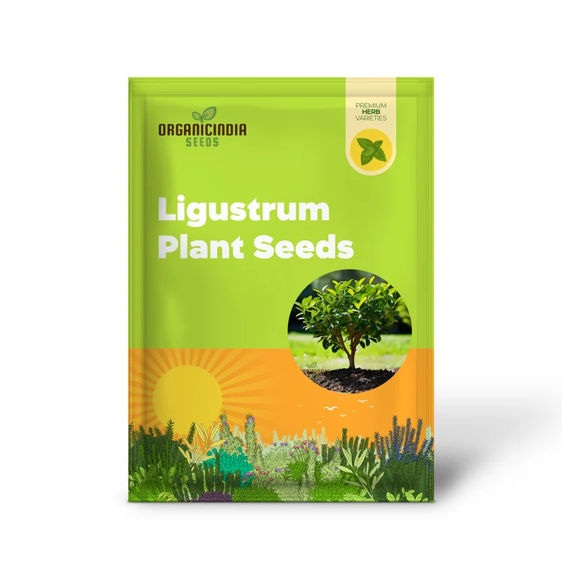 Vibrant Green Ligustrum Seeds – Premium Quality Ornamental Hedge Variety
