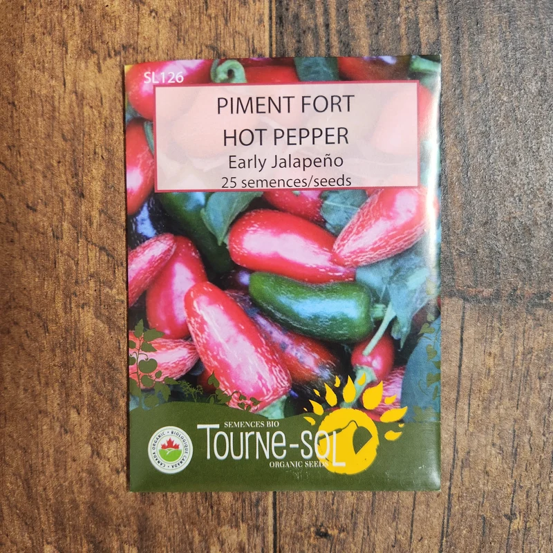 Piment fort ‘Early Jalapeño’ ( Capsicum annuum )