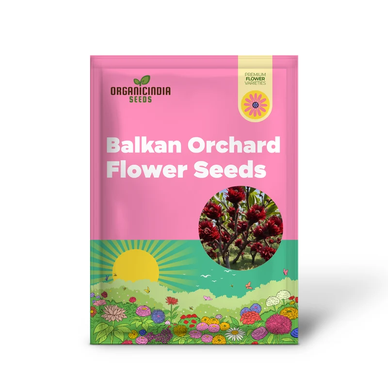Balkan Orchard Beak Dark Red Flower Seeds, Rare and Striking Blooms for Vibrant Gardens