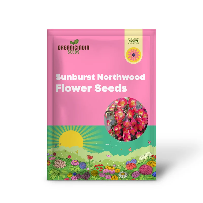 Achimenes 'S Sunburst Northwood Flower Seeds, Exquisite Blooms to Brighten Your Garden