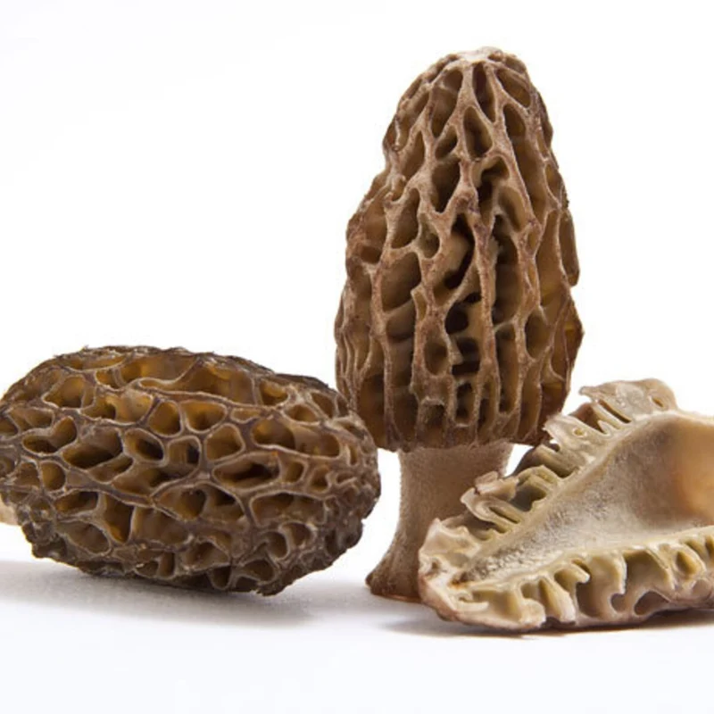 Spores Morel Mushrooms Mycelium Spawn Substrate Seeds for Planting (100pcs)
