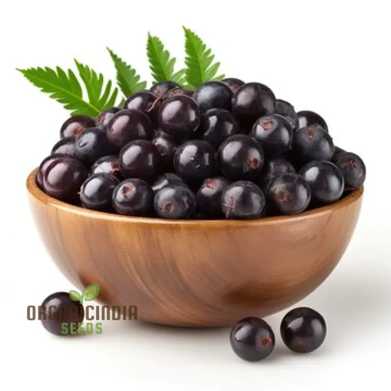 Azalea Garden Oleracea, Acai Berry Palm Fruit Plant Seeds (100pcs)
