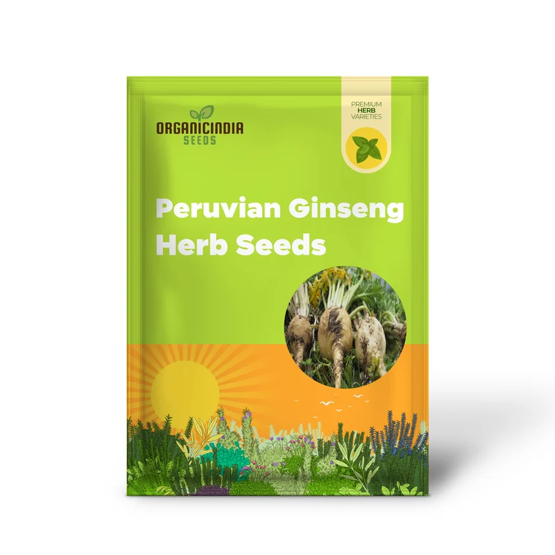 Potent Peruvian Ginseng, Cultivate Vitality with Black Maca Herb Seeds for Planting