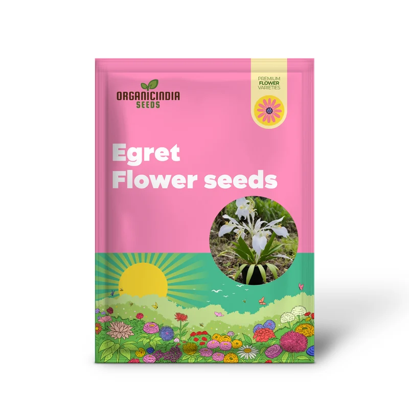 White Egret Orchid Seeds – Habenaria Radiata for Elegant Garden Blooms
