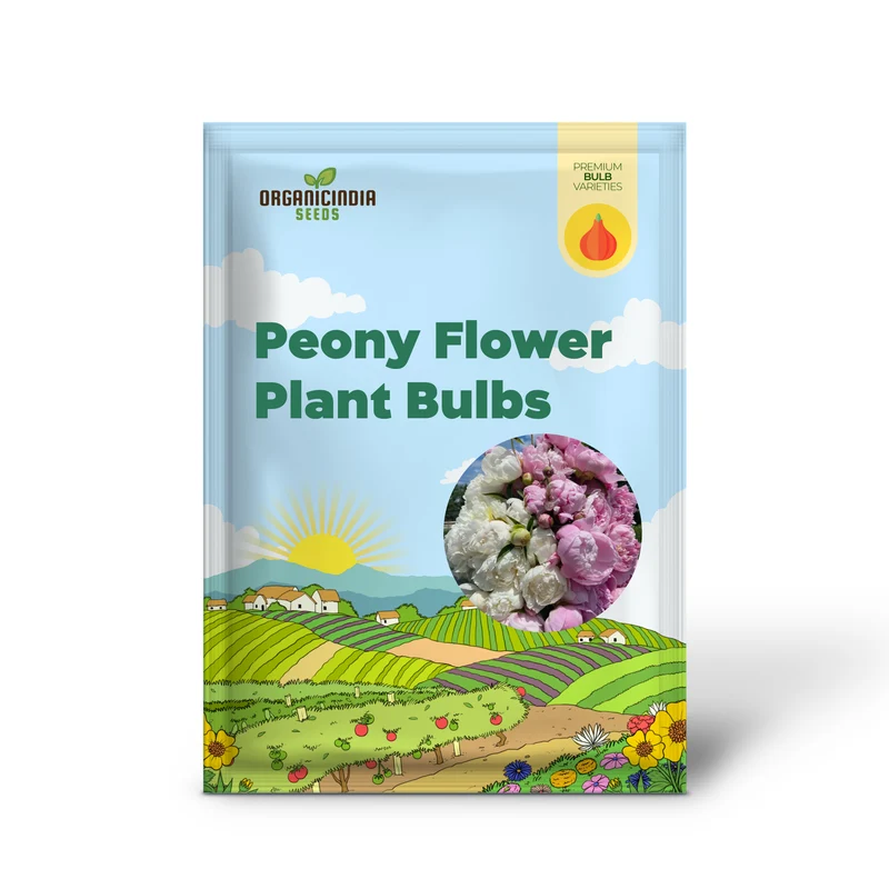 Peony Flower Plant Bulbs, Fragrant Mix Colors Pink & White Double Flowering Blooms in Spring Gardens (Pack of 3 Bulbs for Planting)