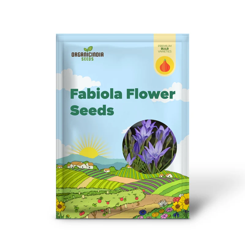 Fabiola Violet Blue Flower Bulbs Triteleia Queen Spring Starflower Corms for Your Perennial Summer Garden(pack of 3 Bulbs)