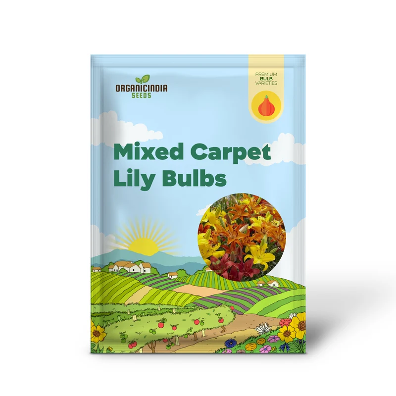 Flame Colored Mixed Carpet Lily Bulbs(Pack of 3 Bulbs for planting)