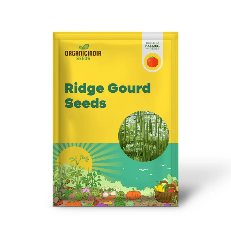 Ridge Gourd Seeds, Growing Your Own Exotic Luffa Vine Planting Seeds