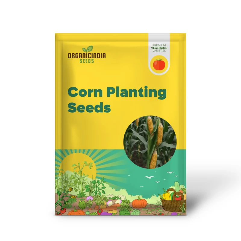 Corn Planting Seeds, Ensuring Resilient Growth for Your Fields