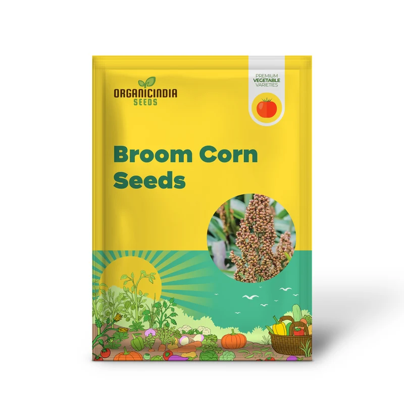 Broom Corn Seeds, Premium Quality Planting Seeds for Robust Broom Corn Cultivation