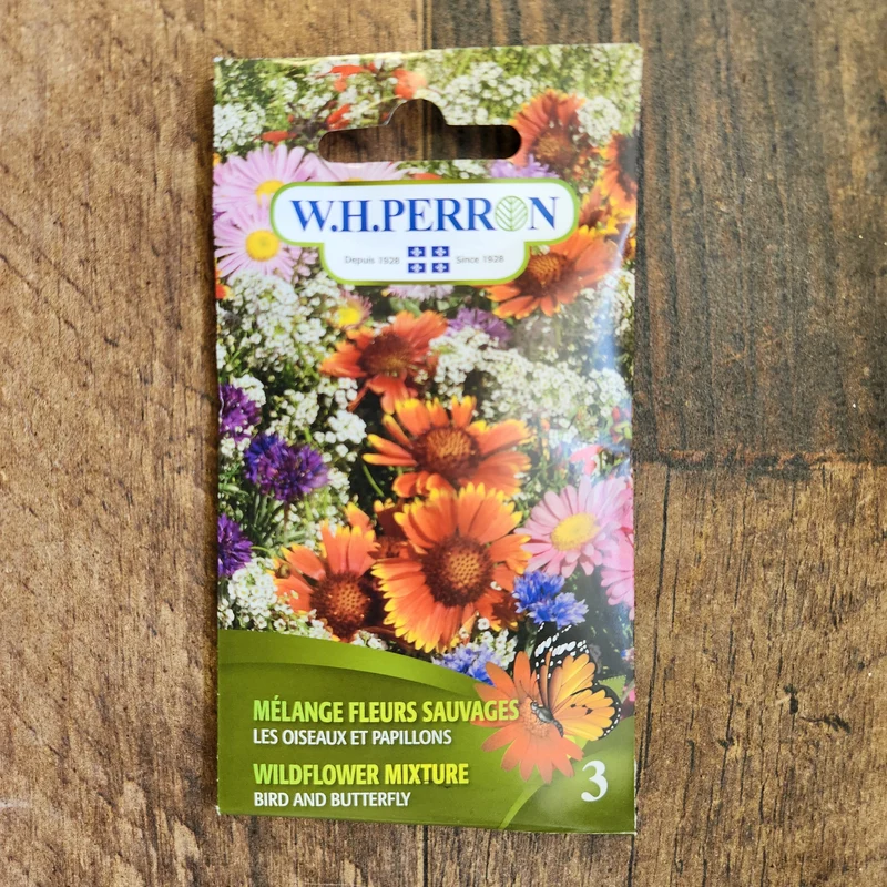 Mélange de fleurs sauvages