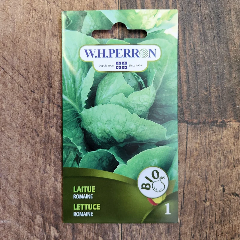 Laitue romaine bio ( Lactuca sativa )