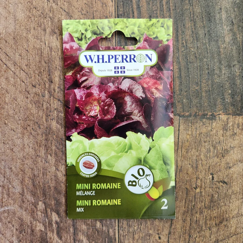 Mélange de laitue mini romaine bio ( Lactuca sativa )