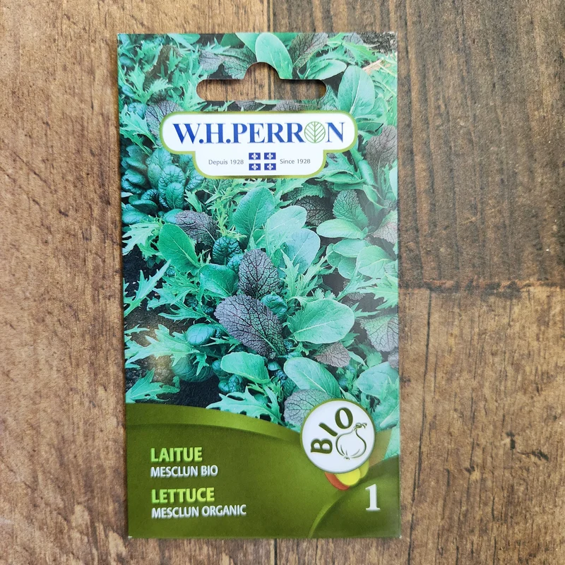 Laitue mesclun bio ( Lactuca sativa )