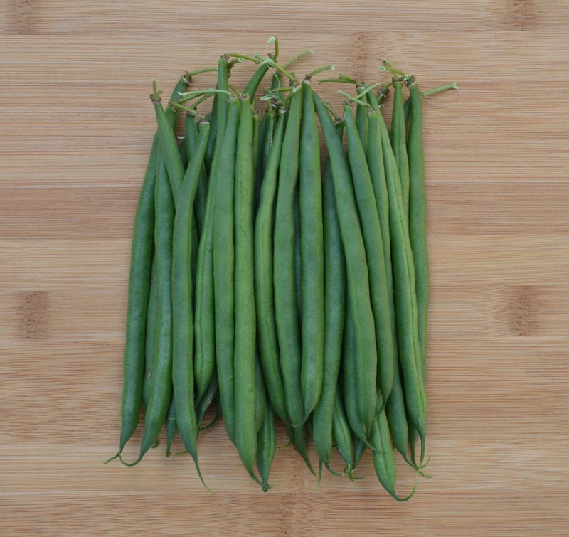 Haricot vert ( Phaseolus vulgaris ‘Sybaris’)