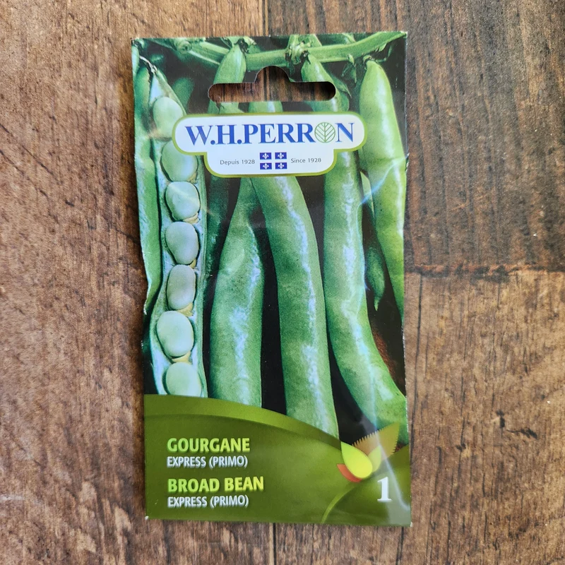 Gourgane ( Vicia faba ‘Express’)