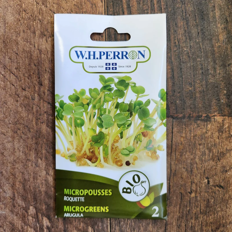 Germe de roquette bio ( Eruca sativa )