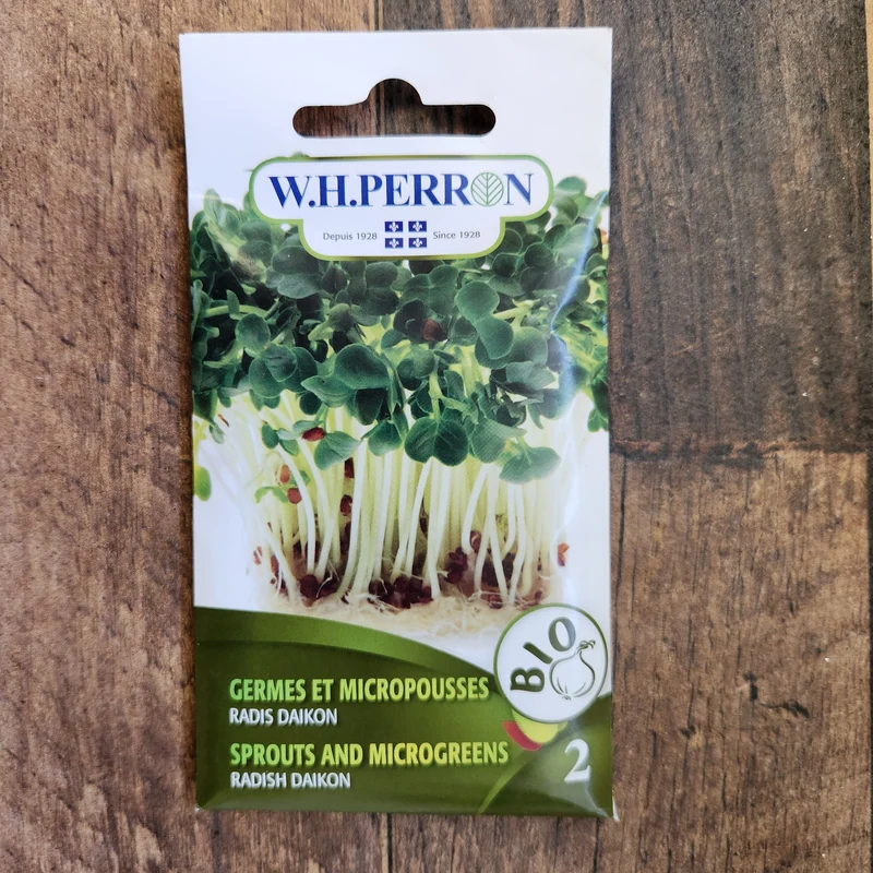 Germe de radis daikon bio ( Raphanus sativus var. longipinnatus )