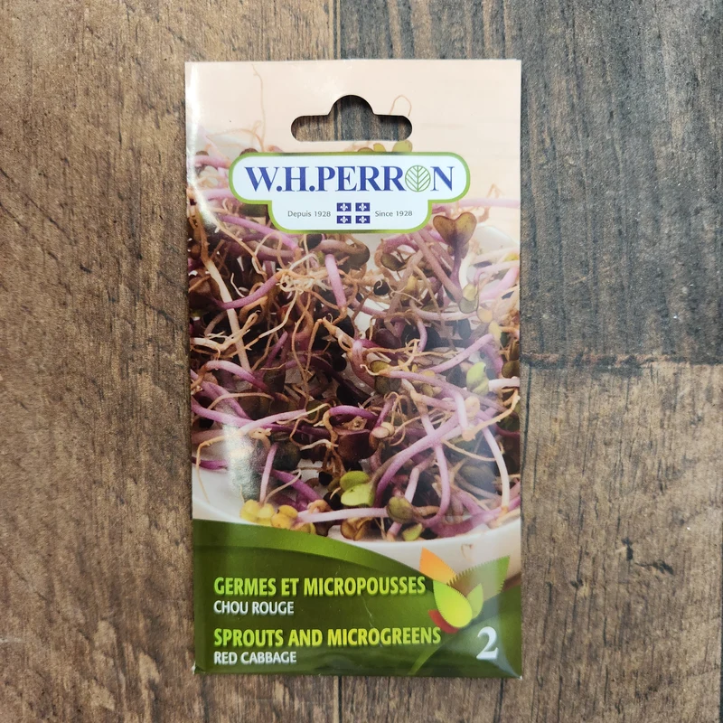 Germe de chou rouge ( Brassica oleracea var. capitata f. rubra )
