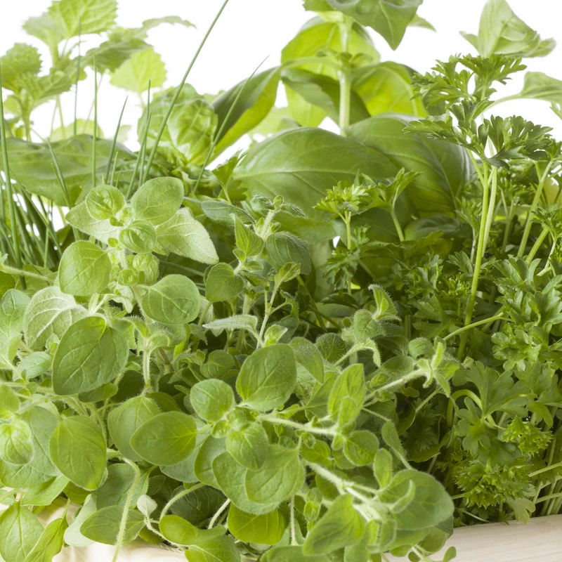 Disques de fines herbes