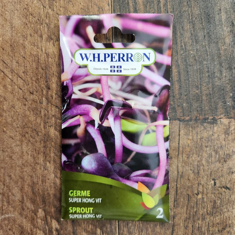 Micropousses de radis ( Raphanus sativus var. longipinnatus ‘Super Hong Vit’)