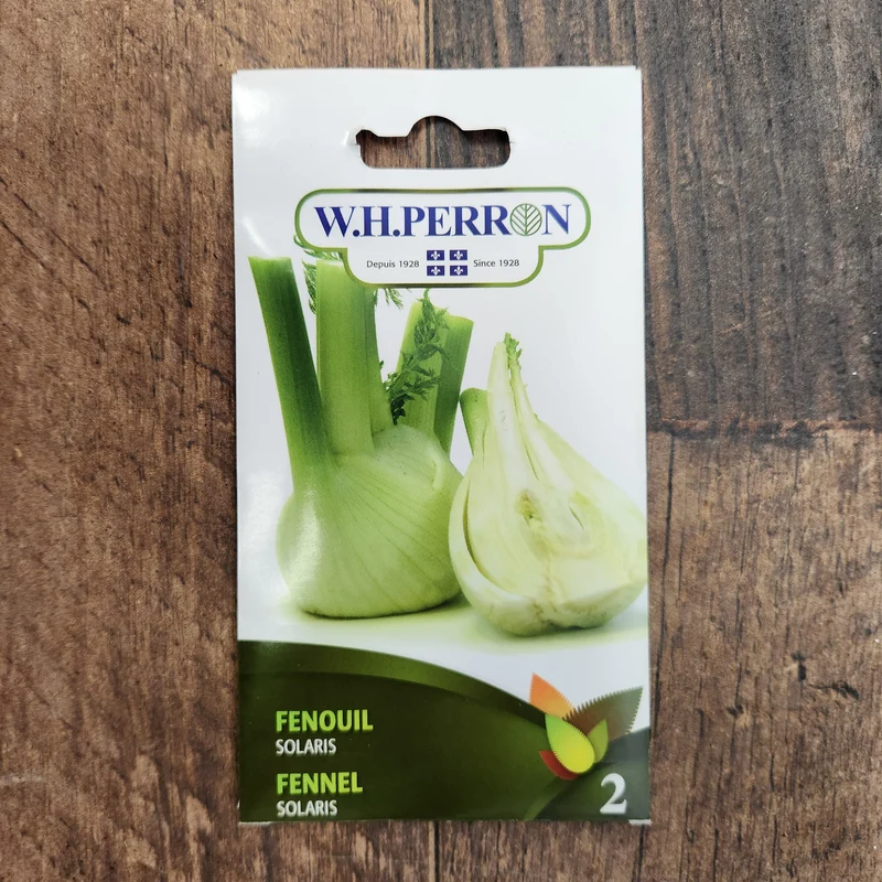 Fenouil ( Foeniculum vulgare ‘Dragon’)