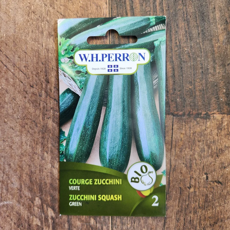 Zucchini vert bio ( Cucurbita pepo )