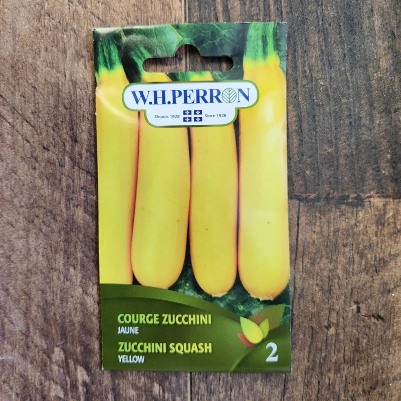Zucchini jaune ( Cucurbita pepo )