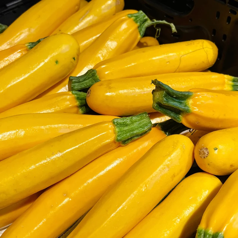 Zucchini jaune ( Cucurbita pepo )