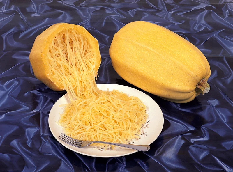 Courge bio ( Cucurbita pepo ‘Spaghetti’)