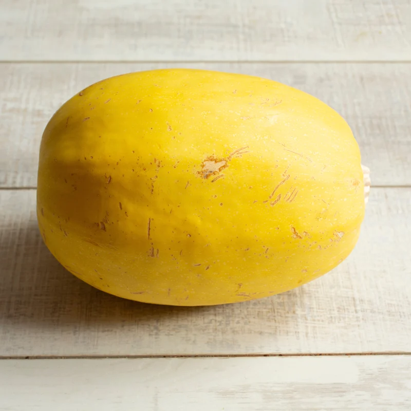 Courge bio ( Cucurbita pepo ‘Spaghetti’)