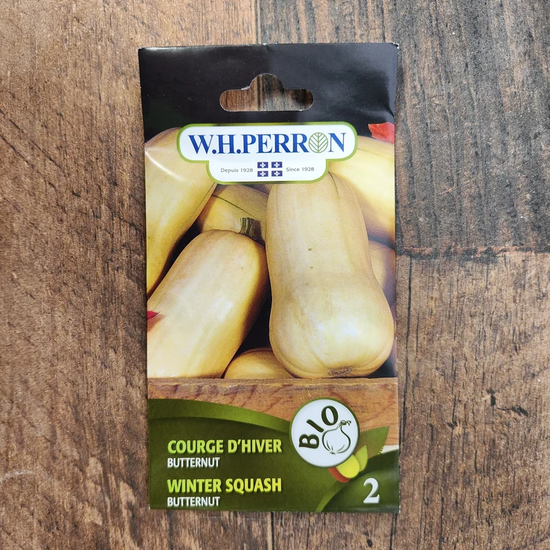 Courge d'hiver bio ( Cucurbita moschata ‘Butternut’)