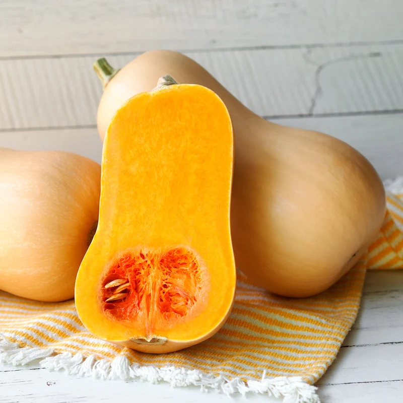 Courge d'hiver bio ( Cucurbita moschata ‘Butternut’)