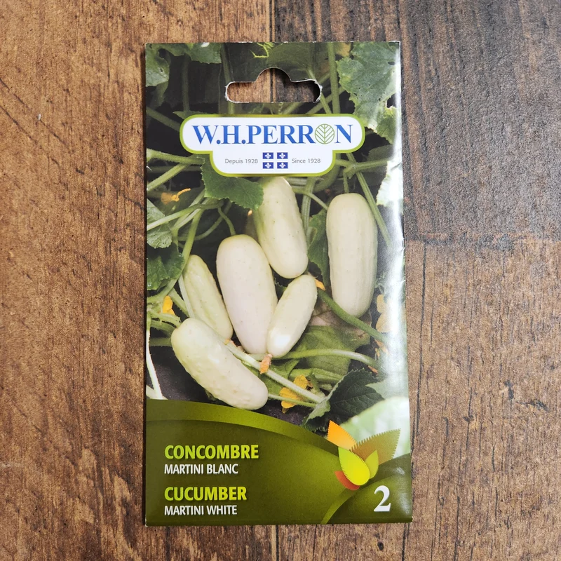 Concombre blanc ( Cucumis sativus ‘Martini’)
