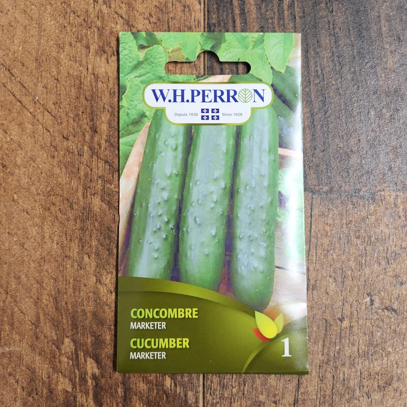 Concombre ( Cucumis sativus ‘Marketer’)