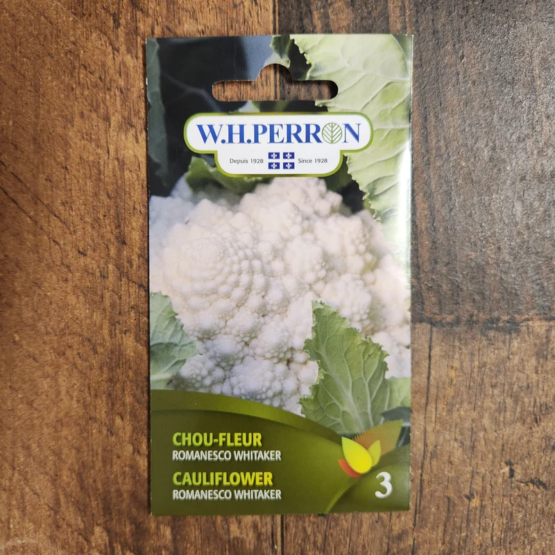 Chou-fleur romanesco ( Brassica oleracea var. botrytis ‘Whitaker’)