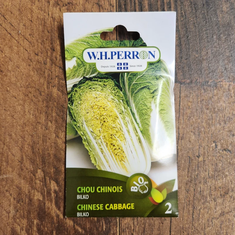 Chou chinois bio ( Brassica rapa subsp. pekinensis ‘Bilko’)