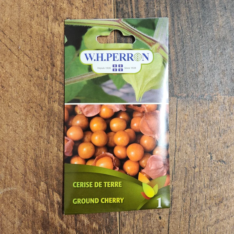 Cerise de terre ( Physalis pruinosa )