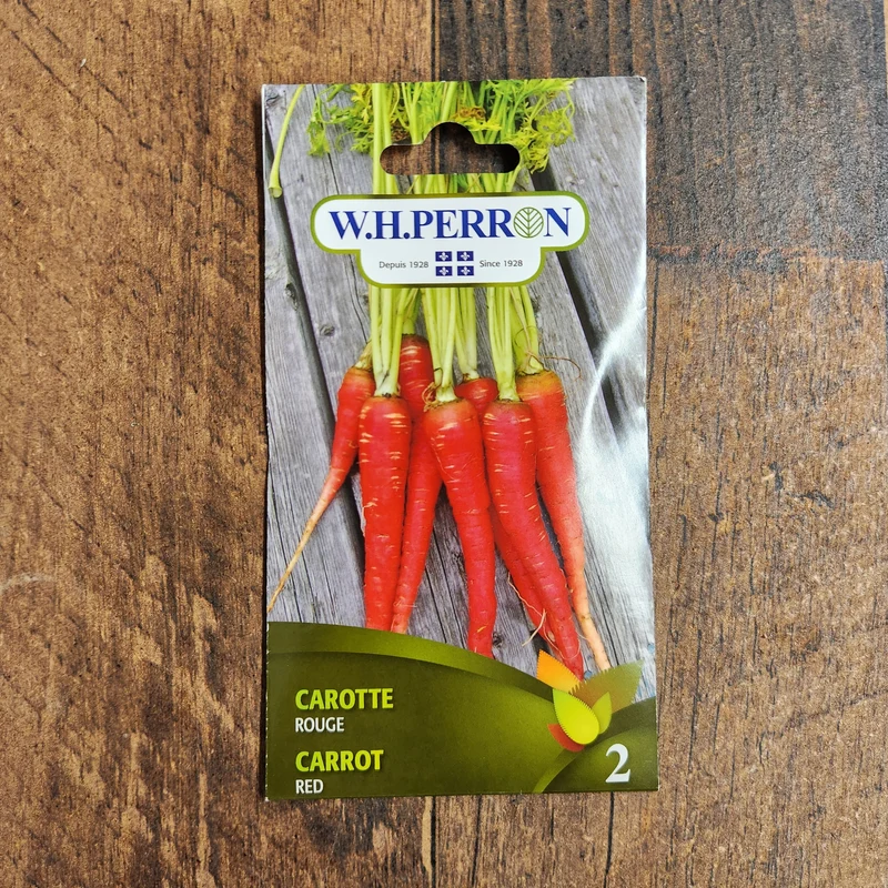 Carotte rouge ( Daucus carota )